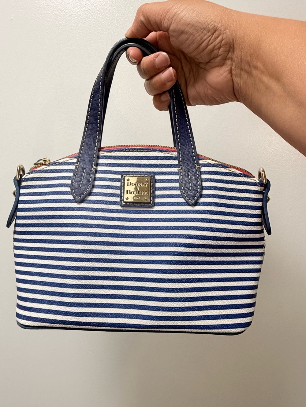 Dooney & Bourke Navy and White Striped Mini Satchel